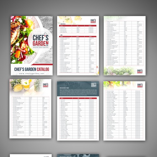 Brochure contest entry by zenefashions