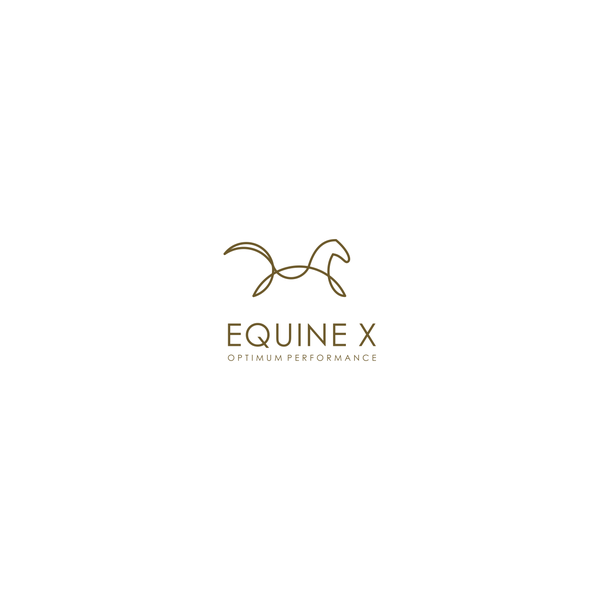 Design by ucuy titled "Equine X"