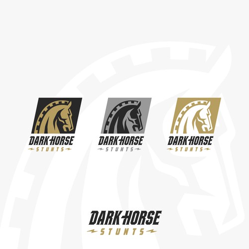 Stunt company logo, needs to be tough and bad ass Design by Konyil.Iwel