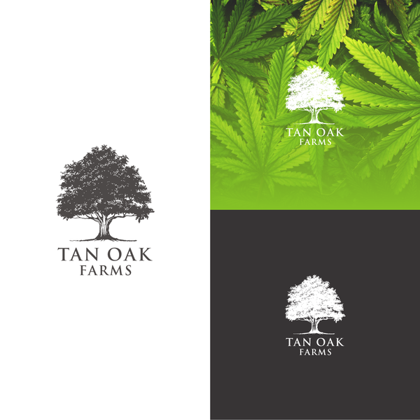 Design by H A S B U N A L L A H ♛ titled "Tan Oak Farms"