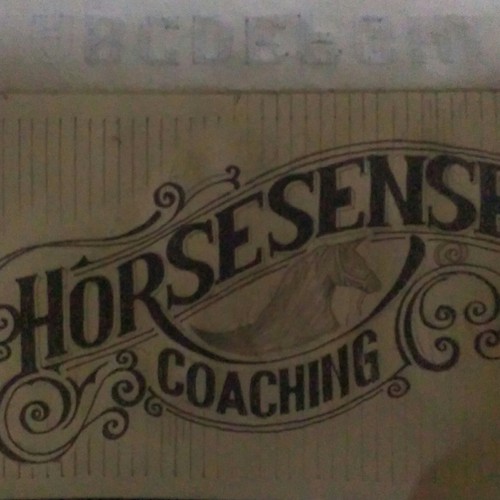 Logo & business card contest entry by Gam21