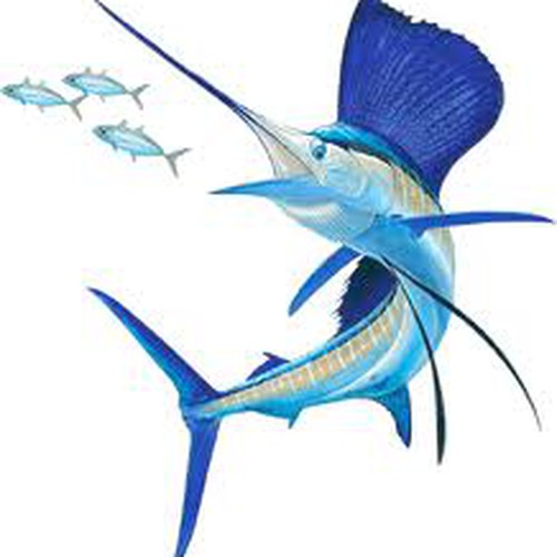 GH sailfish.jpg
