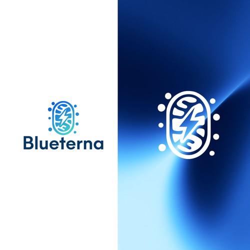Blueterna Branding contest Design by Nana445