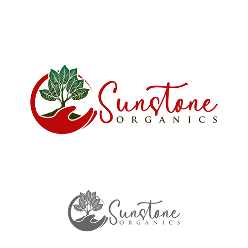  contest entry by Brainstorming_day