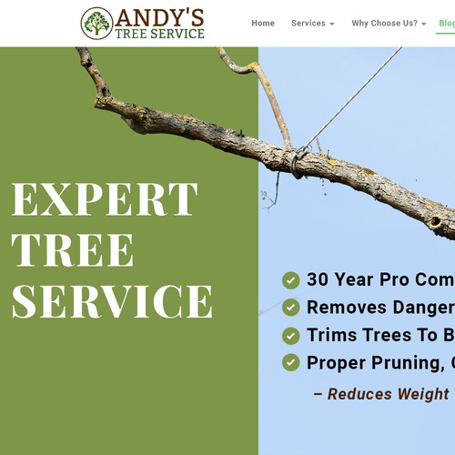 Redesign top section of website Design von Atul-Arts