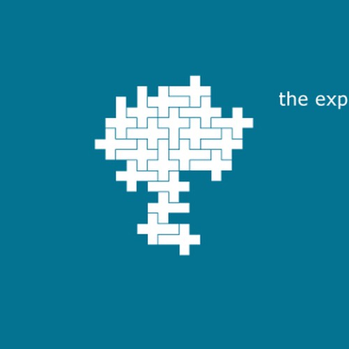 Modern logo needed for The Experience Design by Berend Beer