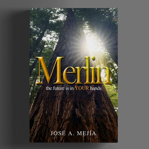 Book Cover Design for a  Personal Development Book Design by BeyondImagination