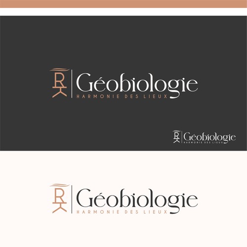 "Create a design and elegant logo for a wellness company" winning PowerPoint template