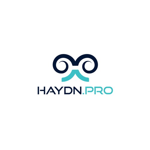 Haydn.Pro Design by Fierda Designs