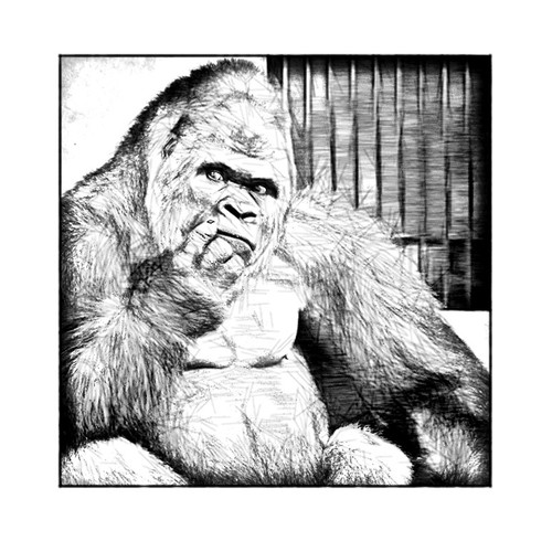 Banner ad contest entry by designerniraj