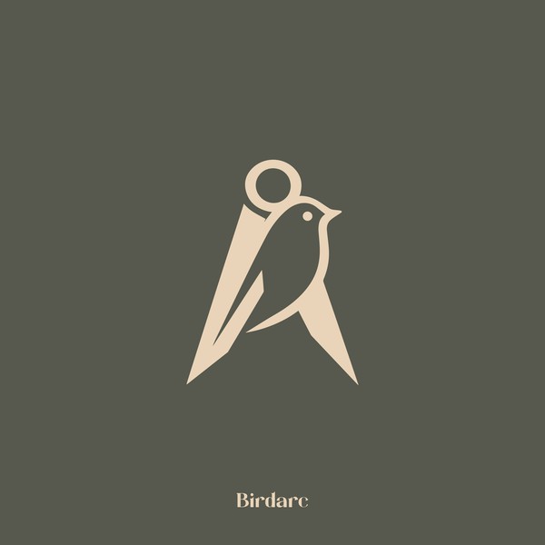 Elegant Geometry Logo Design