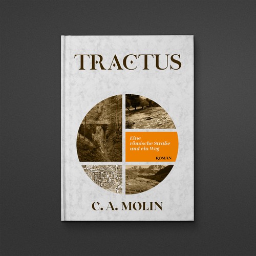 Book cover contest entry by danc