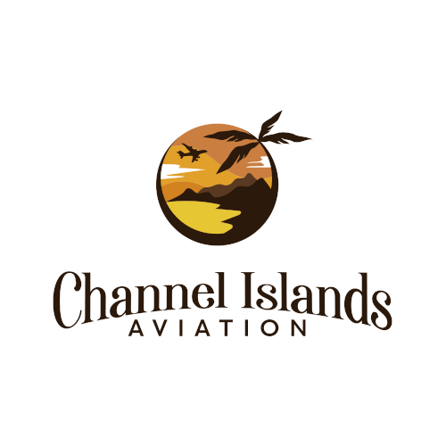 Classic Youthful Flight School catering to future pilots and luxury jet owners Design by luigy915