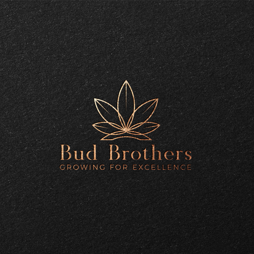  contest entry by airdesigns24