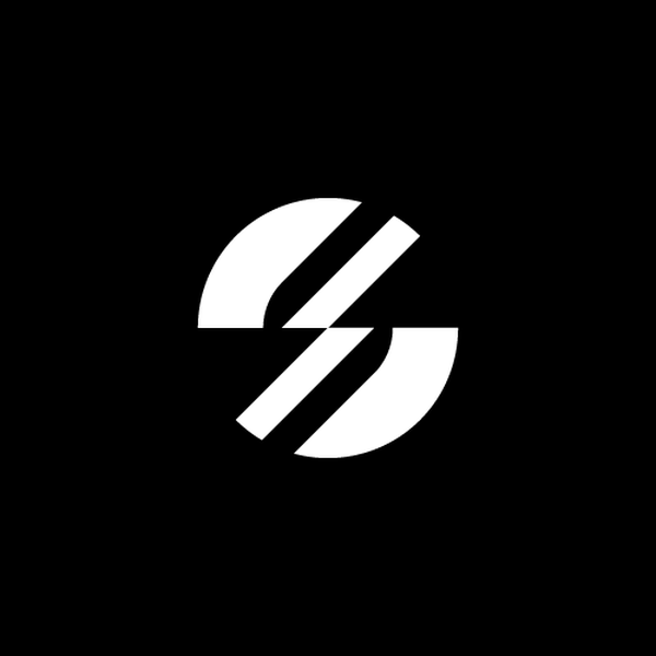 Dynamic Letter S Logo Design