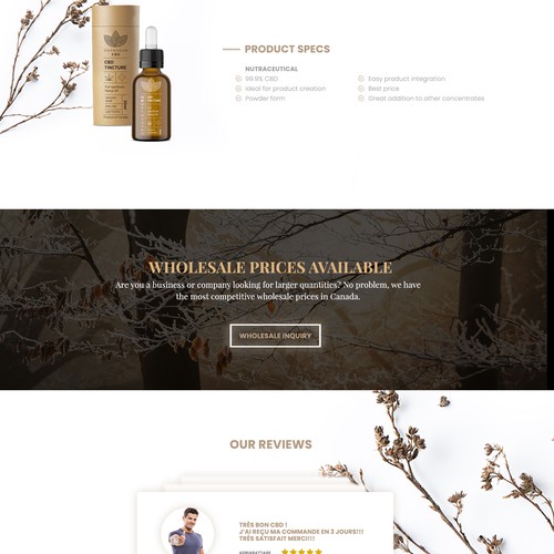 WordPress theme design contest entry by iguads ⭐️