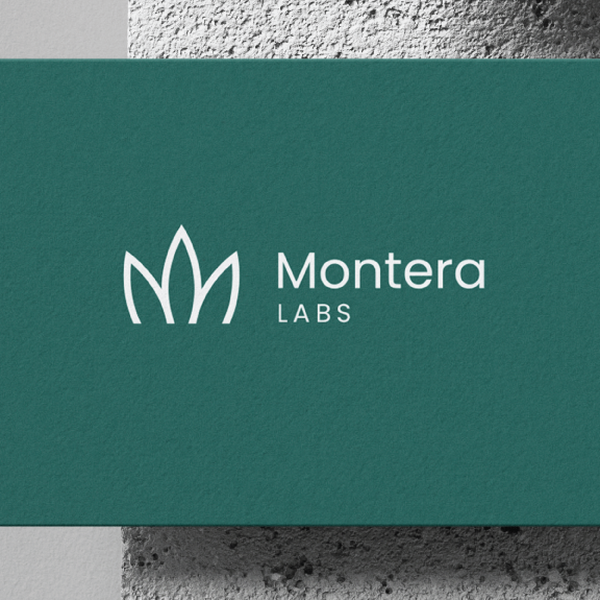 Montera