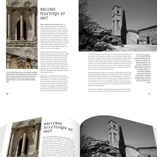  contest entry by ALXB