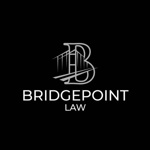 Millennial female-led law firm in Alaska Diseño de ShiipArt ✅
