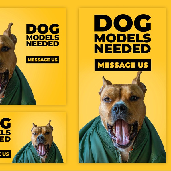 Banners for dog models
