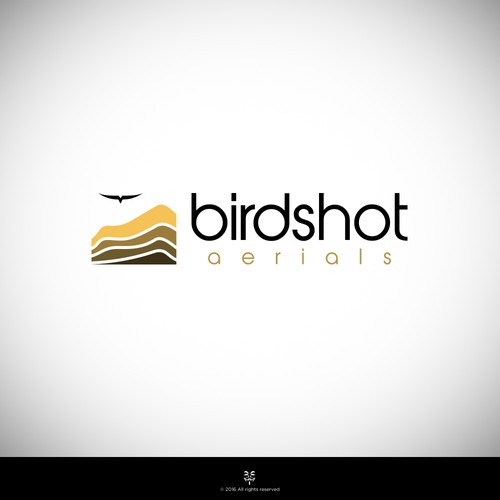 Create a high-flying view for Birdshot Aerials Design by Mastah Killah 187