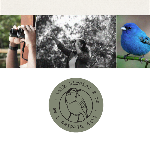 Design a powerful yet subtle bird logo for new professional birding company! Design by Studio Clevrik