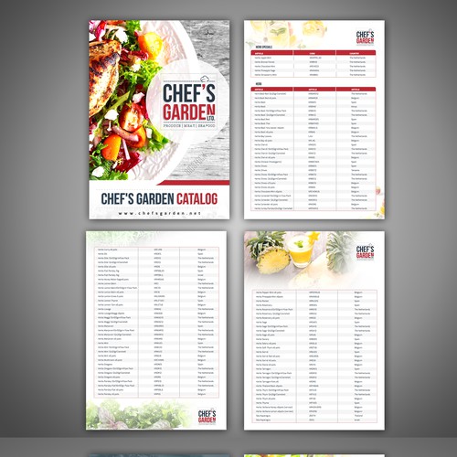 Brochure contest entry by zenefashions