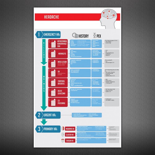 Infographic/Algorithm for ER doctors to improve patient care Design by ganess