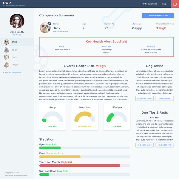 Companion Wellness Reports