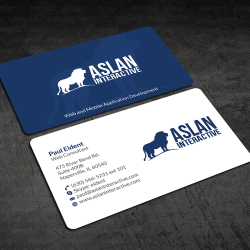 Aslan Interactive Business Card