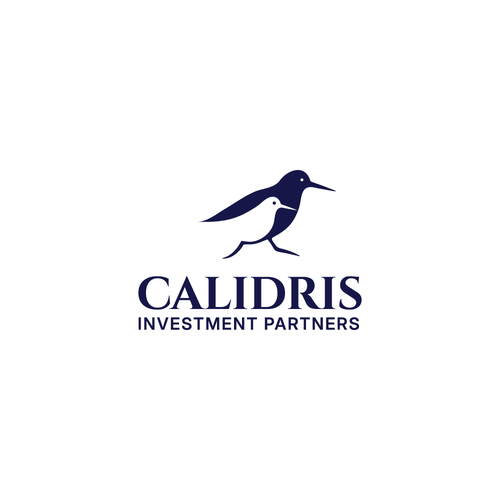 New Private Investment Firm Design by LOGStudio