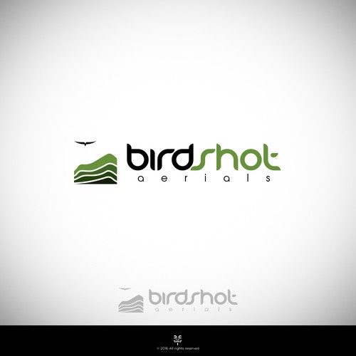 Create a high-flying view for Birdshot Aerials Design by Mastah Killah 187