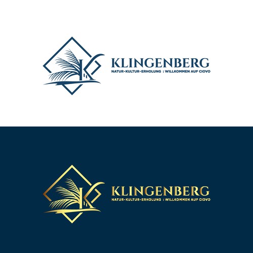  contest entry by Logicainfo ♥