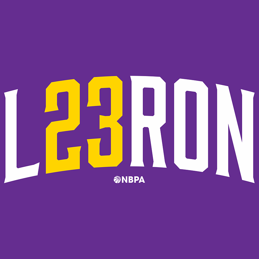 23 logo with the title 'Lebron James T-shirt Logo'