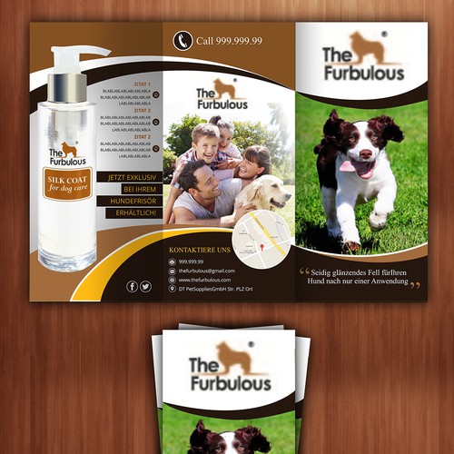 Brochure contest entry by The 3colors