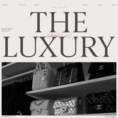 Web page design contest entry by sokolskiyDesign