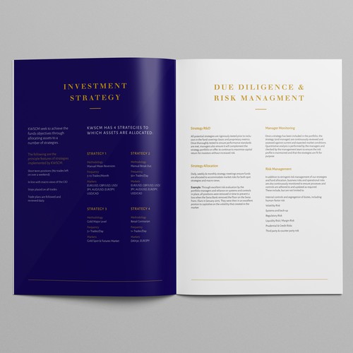 Design a high end marketing brochure for a start up fund Design by OffGrid