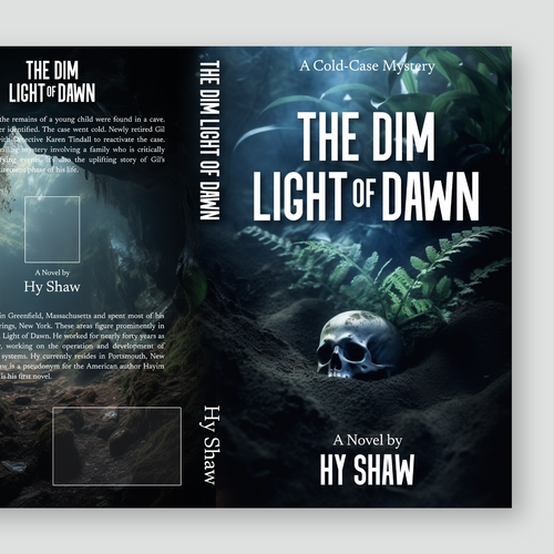 Enticing book cover for a cold-case mystery! Design by Alex C.