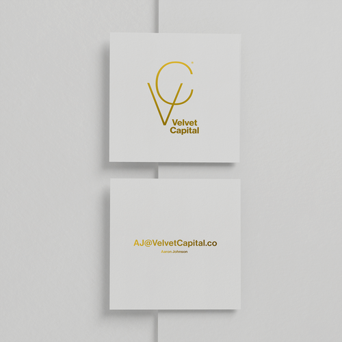 Business Card Digital File and Logo needed update within 48 hours! Design by turbo vanja