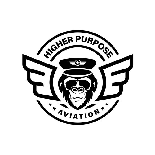 Higher Purpose Aviation Design by surendra1