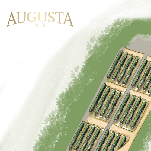 Artist interpretation of a Vineyard map Design by Andres M.