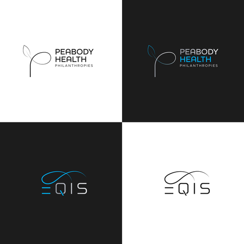 Design two related logos for a foundation and the software solution Design by eida_amin