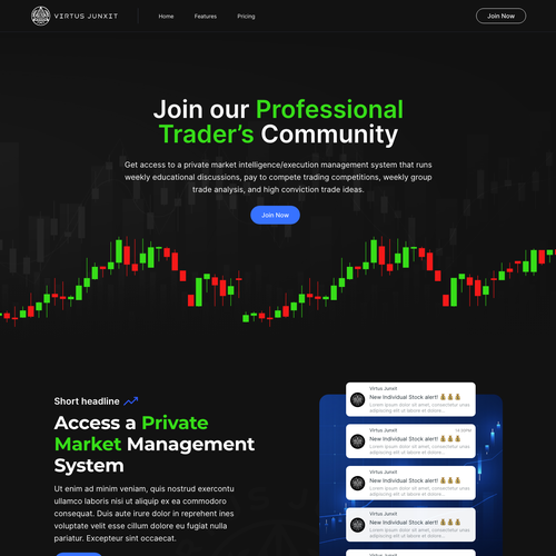Landing page design contest entry by DOMMA