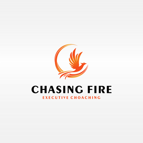 Designs Help My Coaching Business Catch Fire Logo design contest