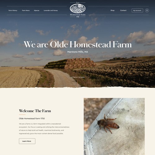 Designs | Olde Homestead Farm Website Design | Web page design contest