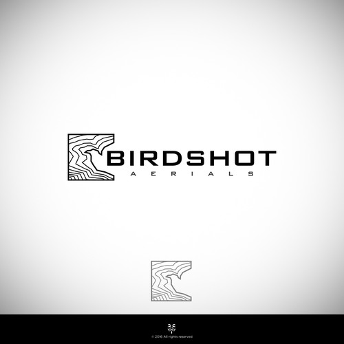 Create a high-flying view for Birdshot Aerials Design by Mastah Killah 187