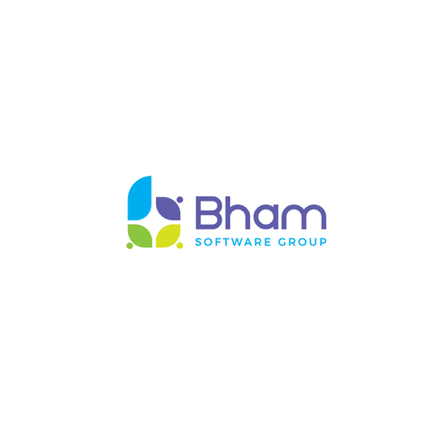 Bham Software Group logo Design by Ideagrafx