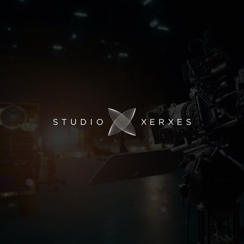 Design an impactful and creative logo and develop a brand guide for our video production company Design by NouNouArt