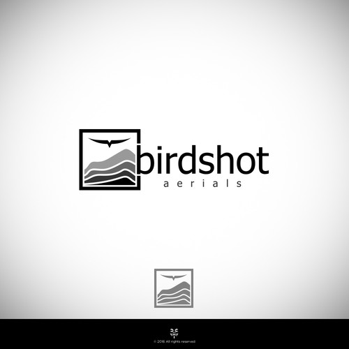 Create a high-flying view for Birdshot Aerials Design by Mastah Killah 187