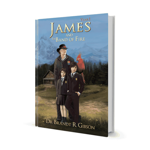 Create a fiction book cover with the potential for follow-up paid projects Design by Lizi 88